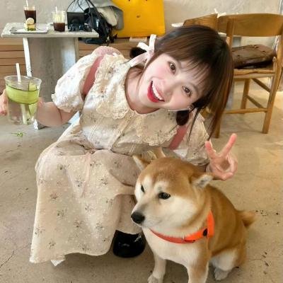 爱尔兰之愿